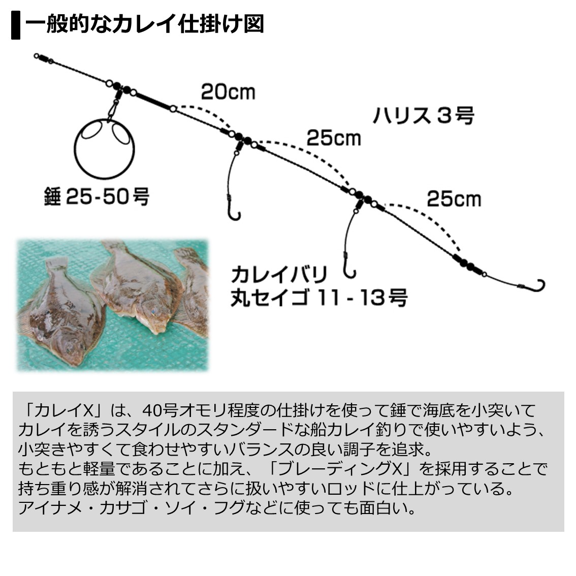 高い品質 ダイワ カレイ X 180 船竿 新版 Reltexir Com