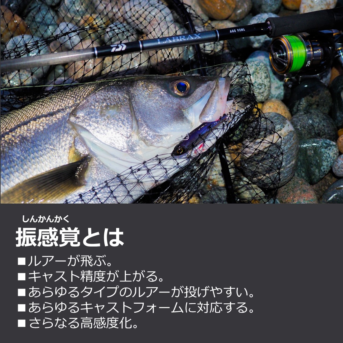 楽天市場 ダイワ 21 ラブラックスags 96m N シーバス ロッド 大型商品a フィッシング遊