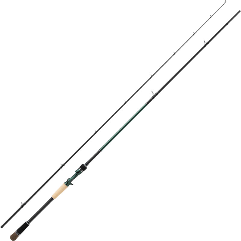 楽天市場】Sedition セディション NEVER FADE ネヴァーフェイド SDS