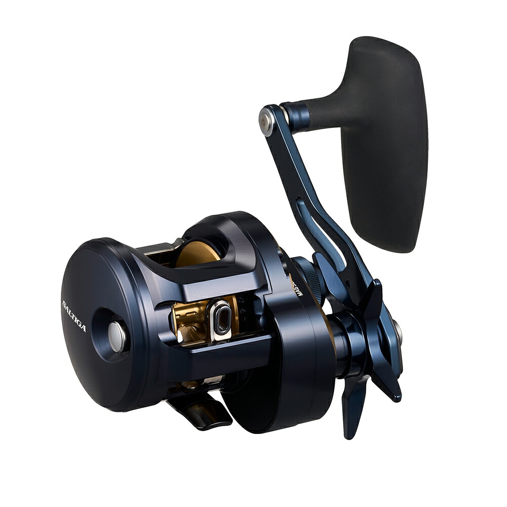 ダイワ 25 ソルティガ 300L (Daiwa ジギングリール 釣り 左) 37,695円