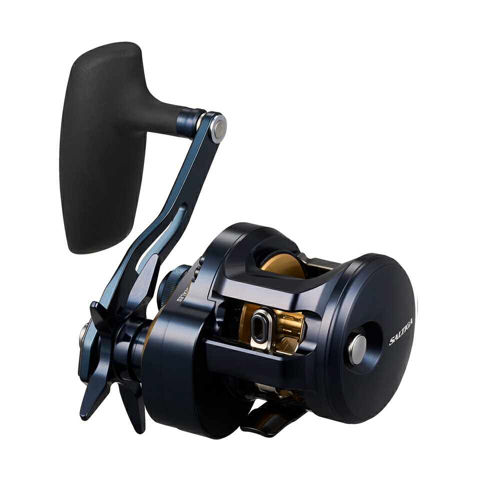 楽天市場】【エントリーでP10倍！】ダイワ リール 25ソルティガ