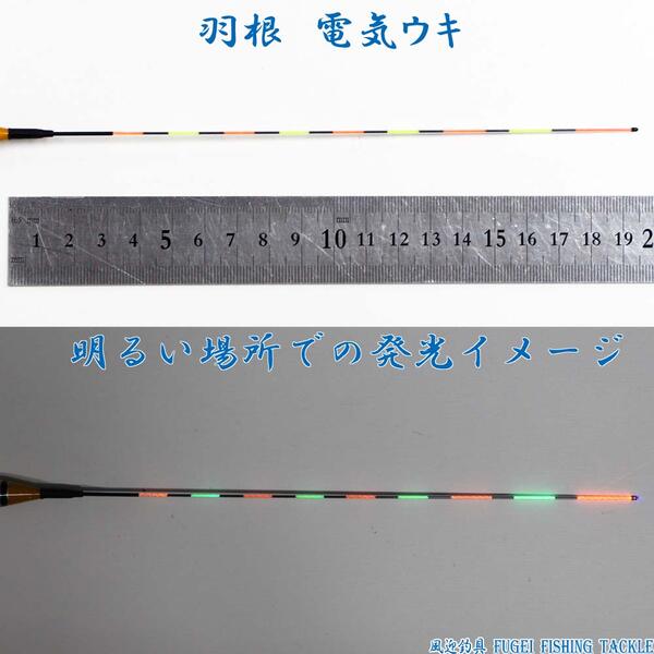 送料無料 2色9点灯 羽根 電気ウキ 電子ウキ ナイターウキ 全長41cmの1本 R11ys 4yy02 電気浮き Antiquecarnut Com