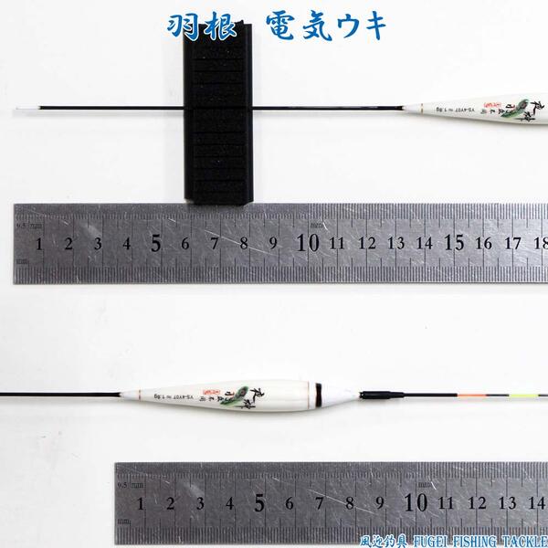 送料無料 2色9点灯 羽根 電気ウキ 電子ウキ ナイターウキ 全長40 5cmの1本 R11ys 4yy07 電気浮き Clinicalaspalmeras Com