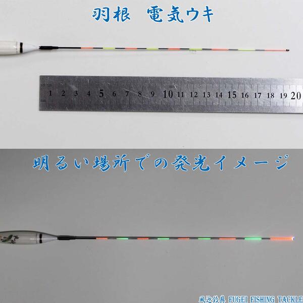 送料無料 2色9点灯 羽根 電気ウキ 電子ウキ ナイターウキ 全長40 5cmの1本 R11ys 4yy07 電気浮き Butlerchimneys Com