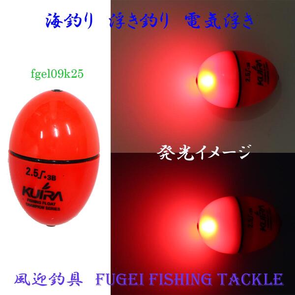 楽天市場 高輝度led 海釣り用 円錐ウキ 電気ウキ R27fgel09k25 2 5号オモリ適合 Abs素材 ウキ 浮き 風迎釣具楽天市場店