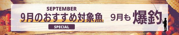 楽天市場】カン付チヌフック 釣り針 500本 3号〜12号 マルチサイズ セット 専用ケース付き ブラック ゴールド 送料無料 釣具 オルルド釣具  釣り具 : 釣り王国 楽天市場店