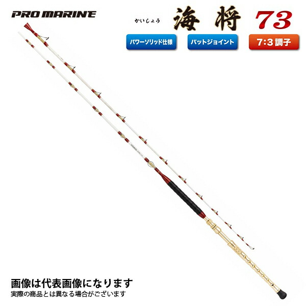 華麗 大型便 230mh プロマリン 海将船73 ロッド 竿 Bhutanboard Com