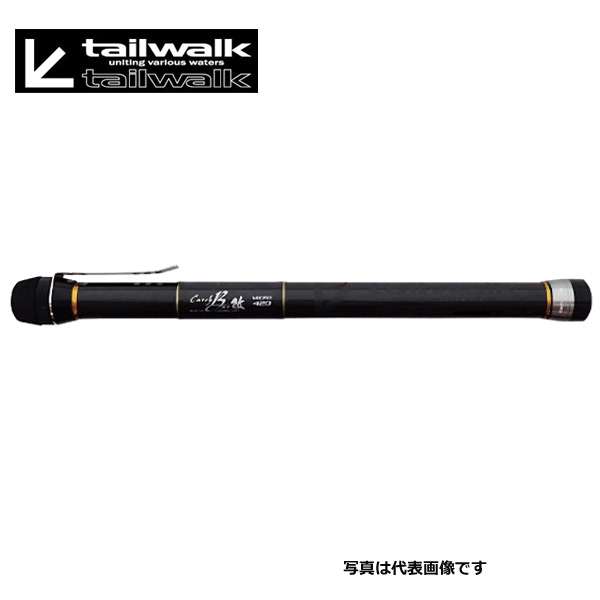 【テイルウォーク】キャッチバー 改 600つり銭 タモ ランディングシャフト 玉柄 タモ柄