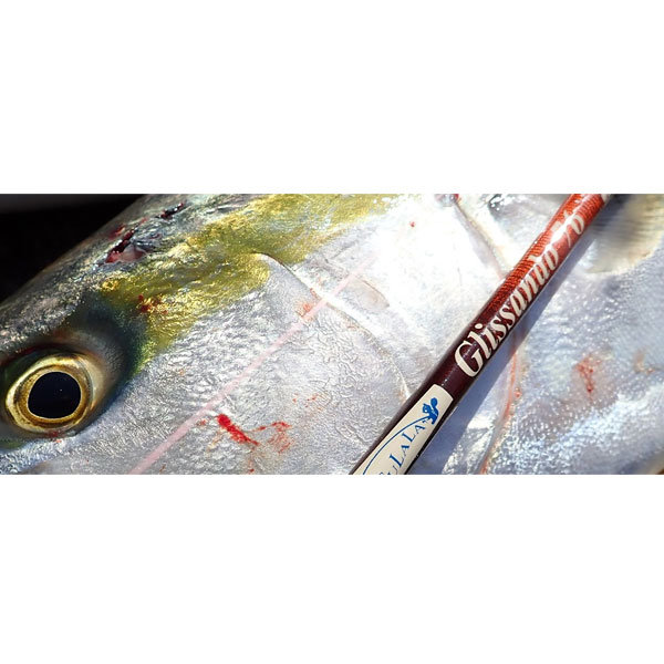 エクストリーム TULALA パナリ ハトゥマ Hatuma S78TM TULALA | Ford every stream | » Hatuma S78TM