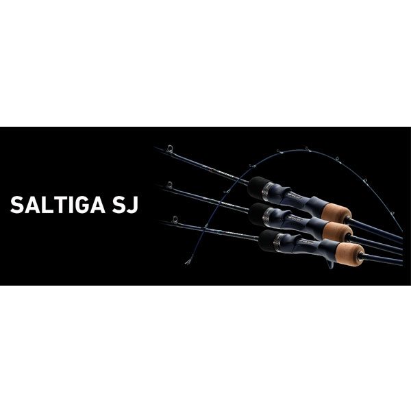 ソルティガ　SJ61B-4 Daiwa Offshore Rod Saltiga SJ 61B-4/W (Baitcasting 1 Piece)