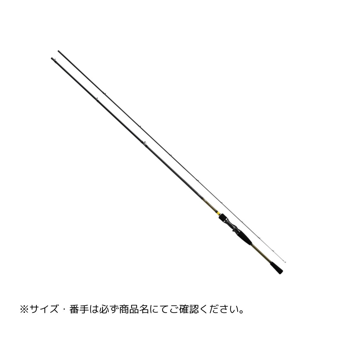 アユイング X 100MB-S（25年追加） DAIWA（ダイワ） 大型便B