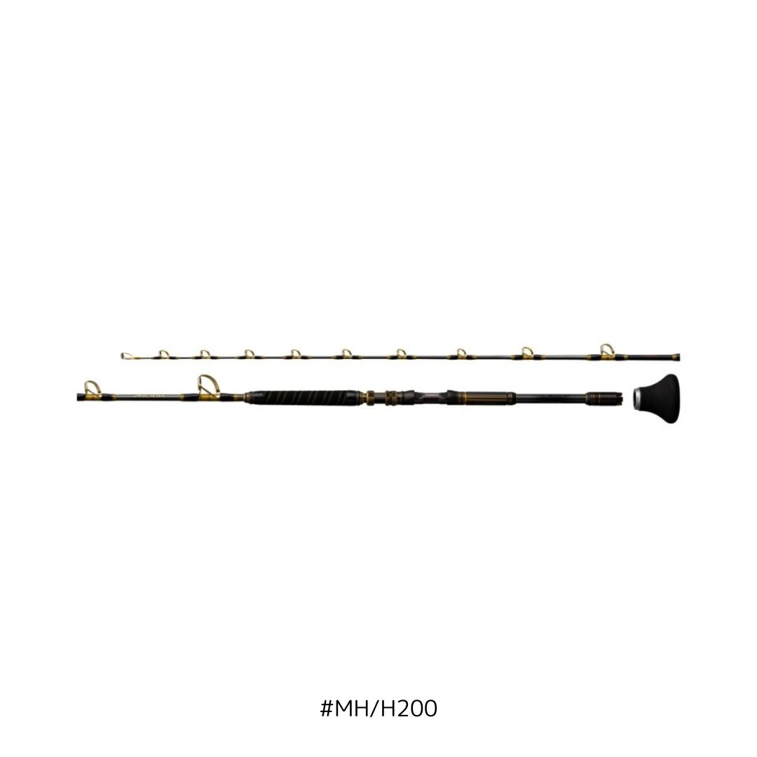 25 アルシエラ 泳がせ #MH/H200 SHIMANO（シマノ） 大型便B 2025年新製品