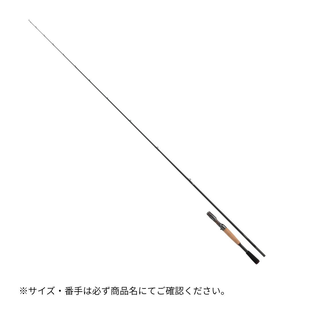 スティーズ（ベイトキャスティングモデル） C65M/ML-SV・ST（25年追加モデル） DAIWA（ダイワ） 大型便C 2025年新製品