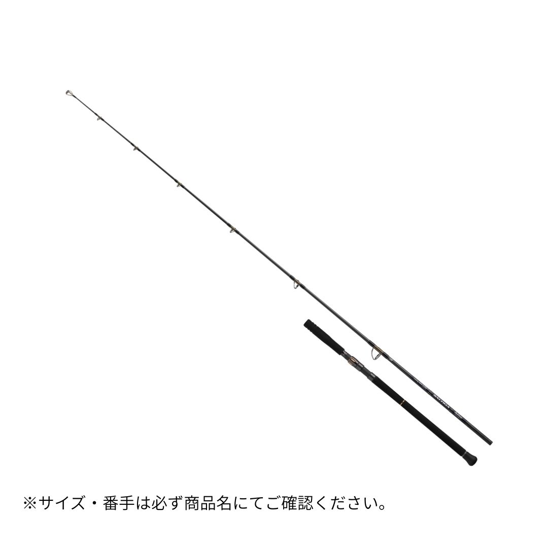 ソルティガ C ブル律動的な調子 32356 DAIWA（ダイワ） 大型便C 2026年新生産品