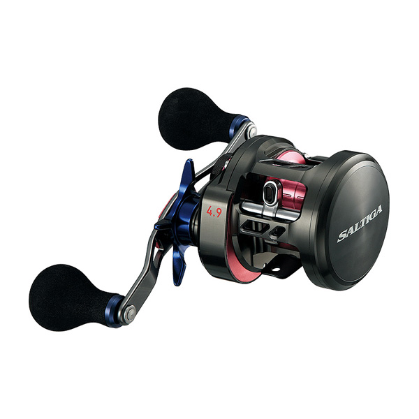 高い素材】 ダイワ Daiwa 17.ソルティガ BJ 100P-RM tdh-latinoamerica.de