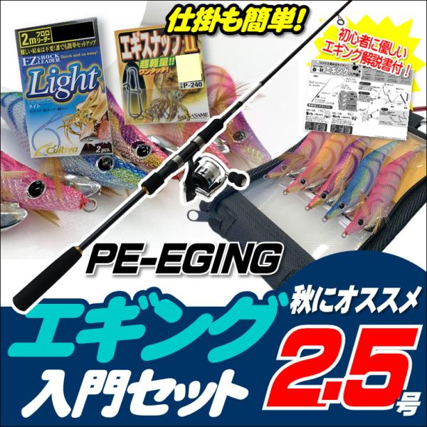 エギング入門セット ロッド・PEライン付きリール・エギ ラトル 2.5号5本・エギケース・スナップ・リーダー６点セット