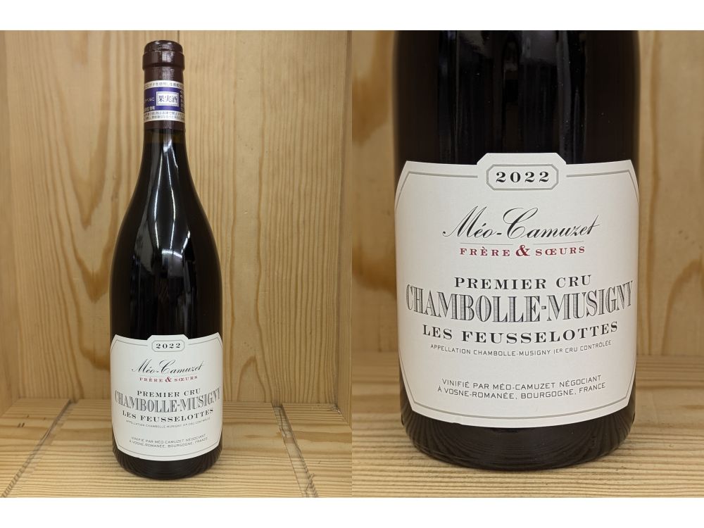 【ダル】セラファン　シャンボールレボード　2022 1本 楽天市場】CM正規品（フィネス）：[2022] シャンボール