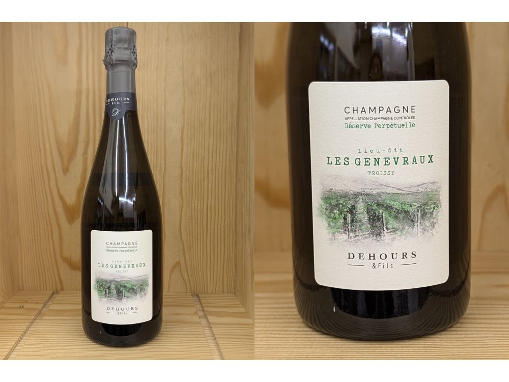 楽天市場】グルーヴ TAEYANG Nosferatu T-204 テヤン ノスフェラトゥ