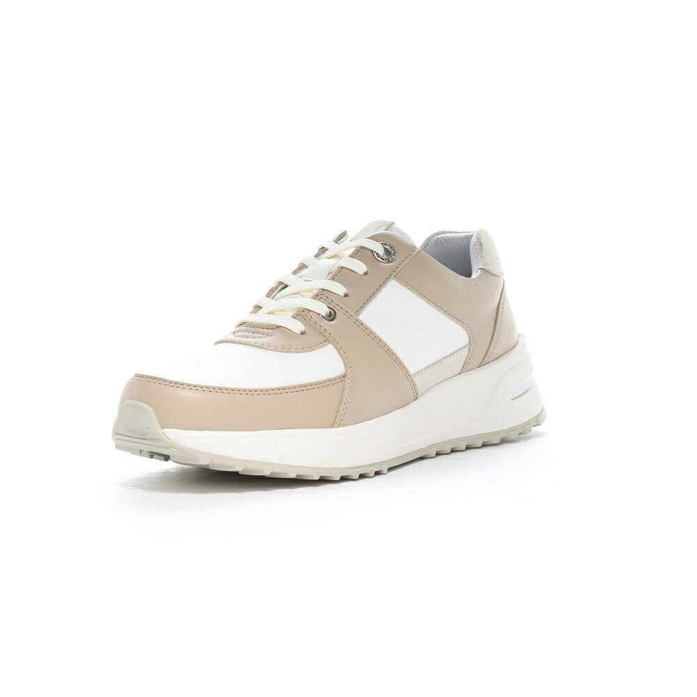 ムーンスター moonSTAR レディーススニーカー SPORTH スポルス 42301374 SP0800　　フィットハウス