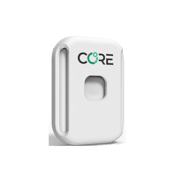 楽天市場】アームストラップ CORE コア 【CORE1専用】深部温度