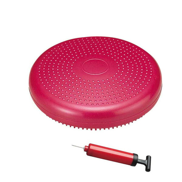 50mm  ラバープレート Amazon | NISHI(ニシ・スポーツ) SDラバープレート50 φ50㎜バー