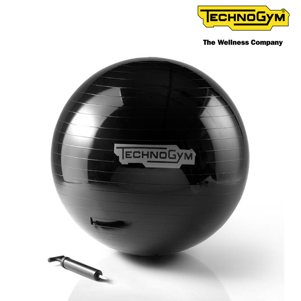 楽天市場 テクノジム バランスボール 65cm Wellness Ball メーカー直送品 Technogym トレーニング フィットネスインテリア Fitness Online フィットネス市場