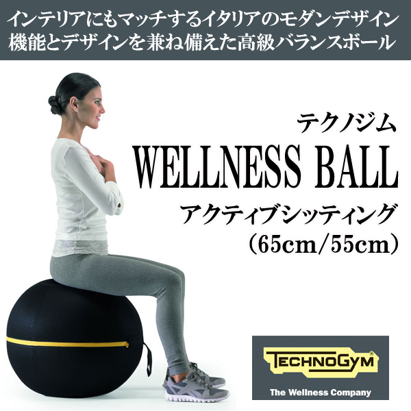 楽天市場 テクノジム アクティブシッティング バランスボールチェア 55cm Wellness Ball メーカー直送品 Technogym フィットネスインテリア Fitness Online フィットネス市場