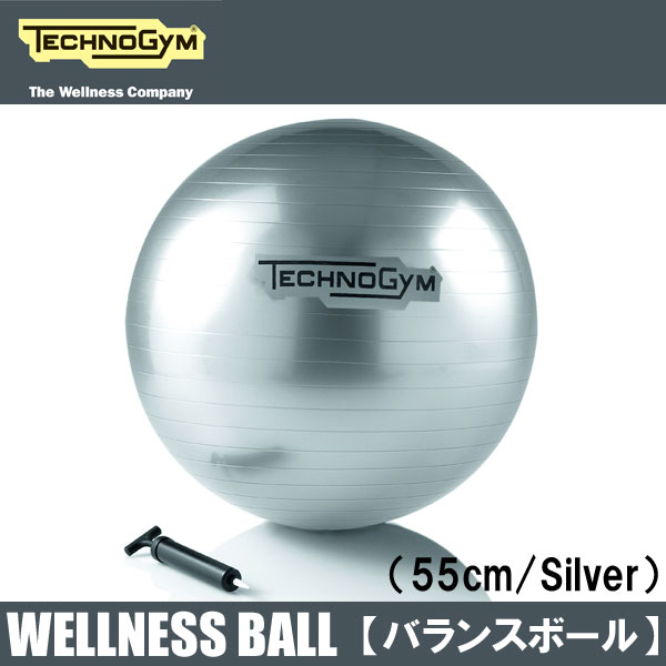 楽天市場 テクノジム バランスボール 55cm Wellness Ball メーカー直送品 Technogym トレーニング フィットネスインテリア Fitness Online フィットネス市場