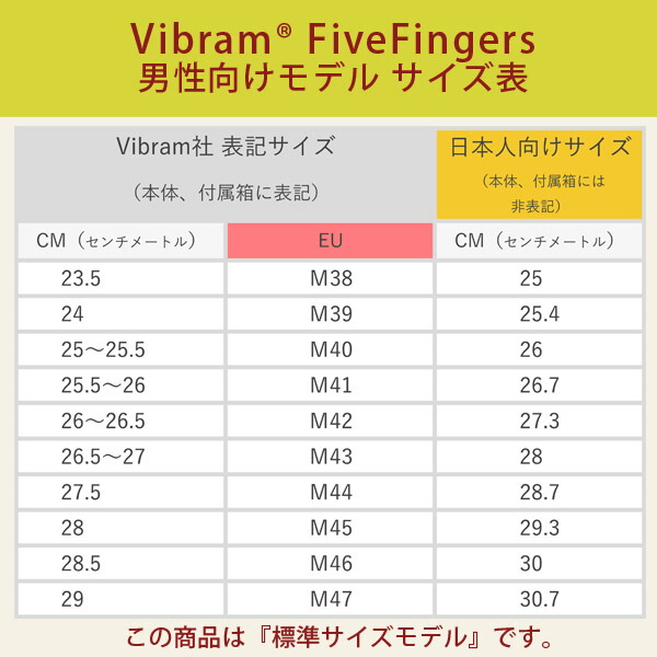 男性・標準サイズモデル・サイズ表