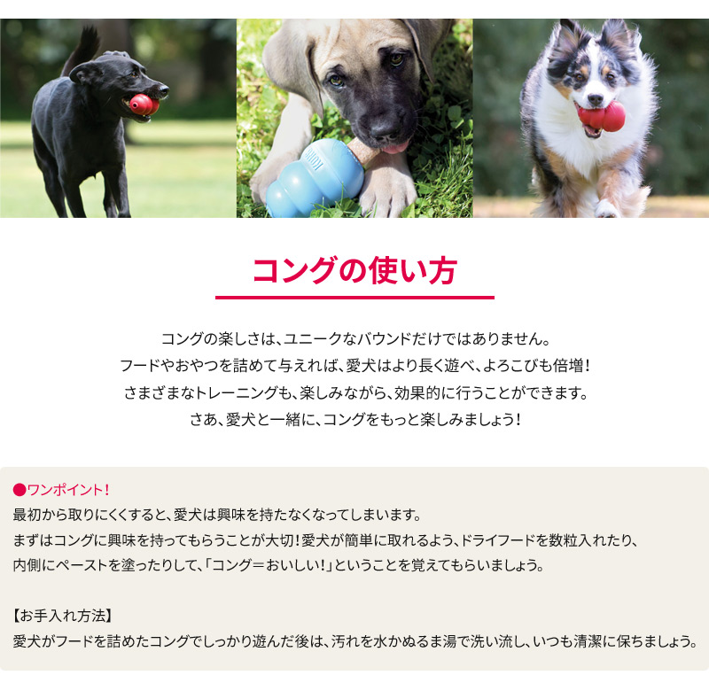 楽天市場 Kong コング 中型犬用 M 子犬後期 成犬用 しつけ 噛む ストレス解消 知育トイ おもちゃ 天然ゴム製 アメリカ製 ペットガーデン紀三井寺