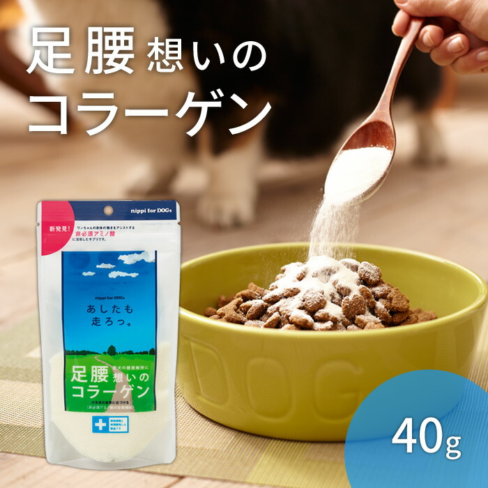 毛沢東の肉声のレコード、新品未使用 摩擦音ケアにひざ年齢 スティック | ゼライスショップ