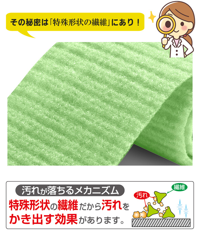 激安/新作 食器のヌメリ取り ペット用食器洗い フリーカット 10×50cm 犬猫用 スポンジ キッチン 洗剤いらず エコ びっくりフレッシュ  サンコー ペット用品 台所用品 メール便 ネコポスは4個まで www.dreamhomerealestate.al