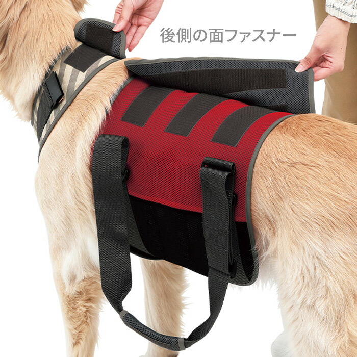 市場 送料無料 散歩 大型犬用 同梱不可 歩行補助ハーネス メッシュボーダー 高齢犬 後ろ足 シニア犬 Lalawalk