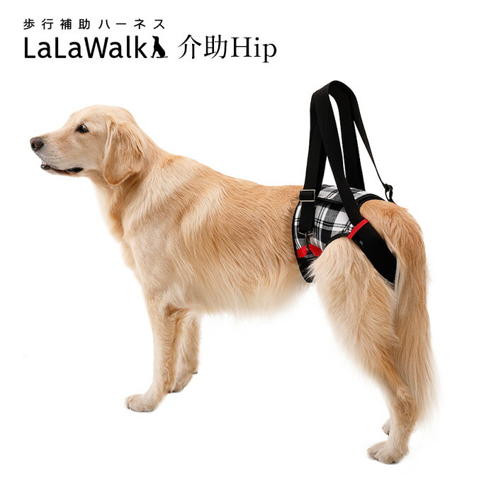 送料無料 同梱不可 歩行補助ハーネス Lalawalk 介助hip チェック 2ta0084 09 高齢犬 散歩 後ろ足 シニア犬 介護用品 ララウォーク メーカー直送 後払い不可 キャンセル不可 返品交換不可 Oneontaforequality Org