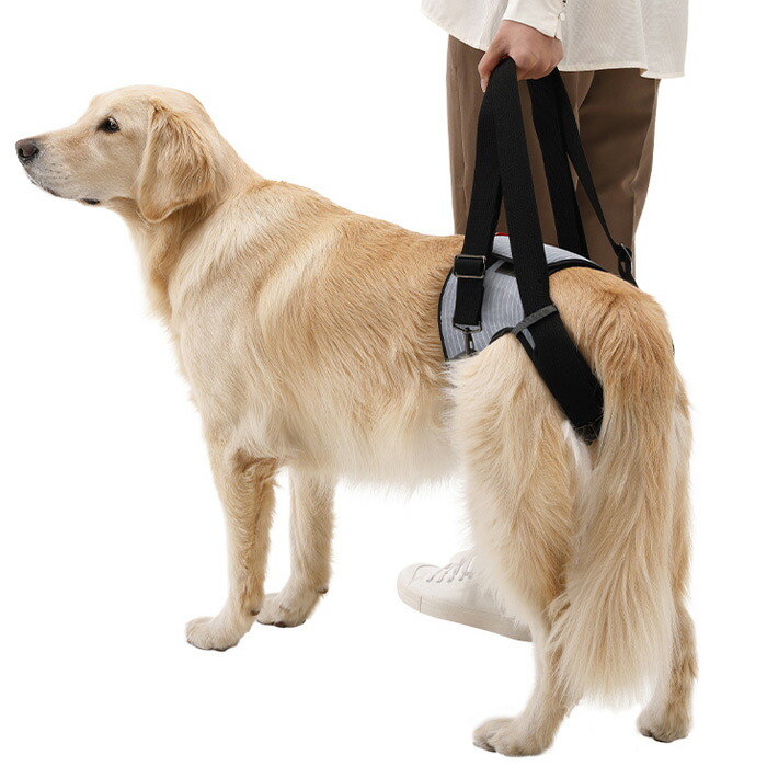 経典ブランド 送料無料 同梱不可 歩行補助ハーネス Lalawalk 介助hip シックグレー 2ta0085 08 高齢犬 散歩 後ろ足 シニア犬 介護用品 ララウォーク メーカー直送 後払い不可 キャンセル不可 返品交換不可 Whitesforracialequity Org