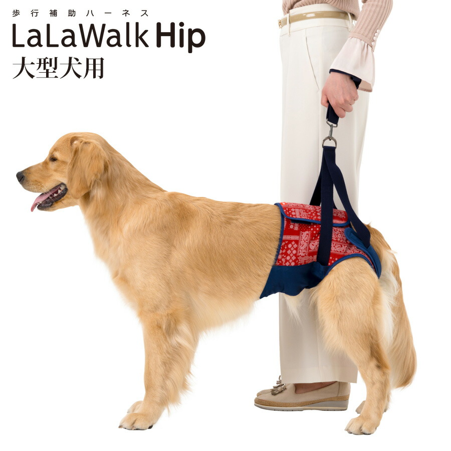 つかいふるしのいぬ 犬用車いす 4輪カート 大型犬用（21kg～28kg）｜ペット用 車椅子