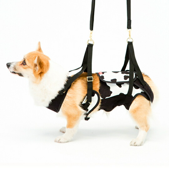 完売 同梱不可 歩行補助ハーネス Lalawalk 中型犬 コーギー用 Cow カウ 白 黒 高齢犬 散歩 後ろ足 前足 シニア犬 介護用品 ララウォーク メーカー直送 代金引換不可 後払い不可 キャンセル不可 返品交換不可 ペットガーデン紀三井寺 Www
