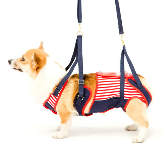 歩行補助ハーネス LaLaWalk 中型犬・コーギー用 セーラーマリン