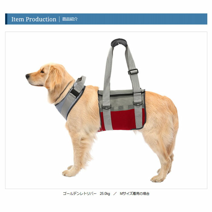 送料無料 同梱不可 歩行補助ハーネス 高齢犬 Lalawalk 大型犬用 メッシュグレーワイン タイルカーペット 高齢犬 散歩 散歩 後ろ足 シニア犬 介護用品 ララウォーク メーカー直送 代金引換不可 後払い不可 キャンセル不可 返品交換不可 ペットガーデン紀三井寺