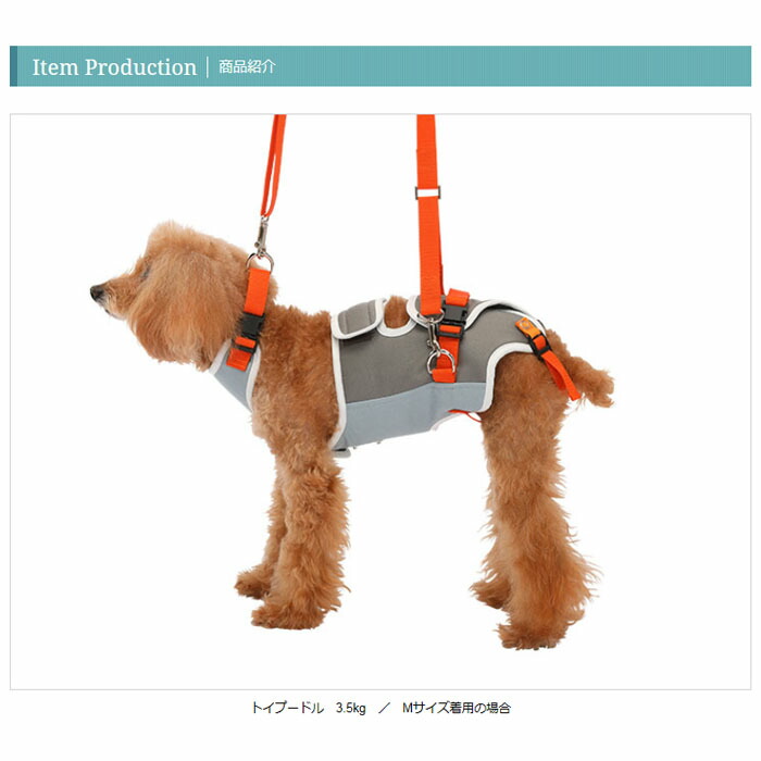 シニア犬 高齢犬 介護用品 ララウォーク 歩行補助ハーネス Lalawalk 小型犬 ダックス用 グレー オレンジ ガーデン メーカー直送 後払い不可 キャンセル不可 返品交換不可 送料無料 同梱不可 散歩 散歩 後ろ足