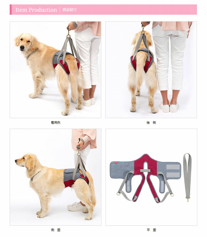 楽天市場 送料無料 同梱不可 歩行補助ハーネス Lalawalk Hip 大型犬用 ラズベリーグレー 赤 灰 高齢犬 散歩 後ろ足 シニア犬 介護用品 ララウォークヒップ メーカー直送 後払い不可 キャンセル不可 返品交換不可 ペットガーデン紀三井寺