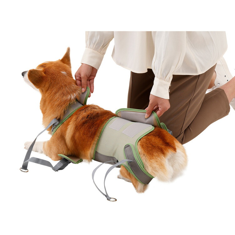 8 18以降出荷予定歩行補助ハーネス Lalawalk 2tc0023 42 中型犬 メッシュオリーブ コーギー用