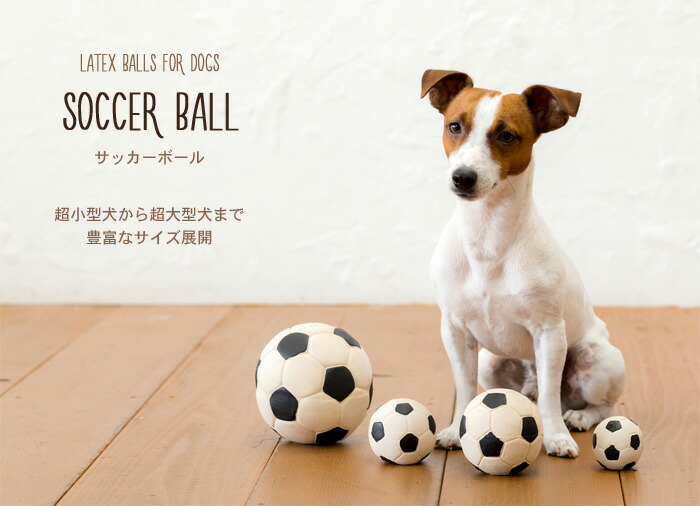 楽天市場 ランコ ダッドウェイ サッカーボール Lサイズ 犬用おもちゃ ペットガーデン紀三井寺