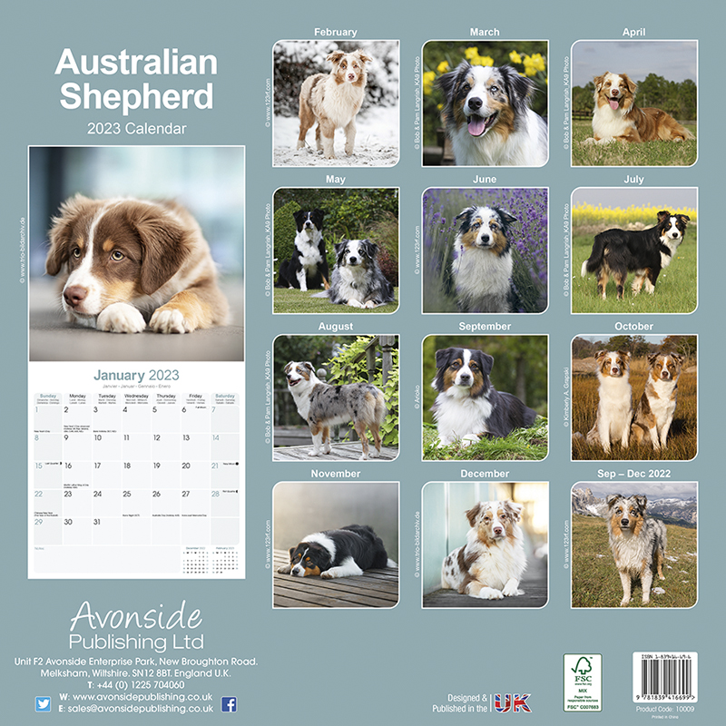 5年保証 予約 10月上旬発送予定 海外輸入版 23年 ドッグカレンダー オーストラリアンシェパード 英国輸入版 犬種別 大判 壁掛け 暦 イギリス ペット フルカラー 写真 キンペックス ワールドオブディスカバリー社 Washandlearn Us