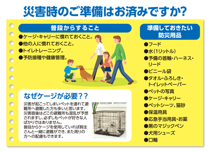 楽天市場 Leaps レスキュー ペットステッカー 柴犬 Yl 防災グッズ ステッカー メール便 ネコポス可 合計9枚まで ペットガーデン紀三井寺