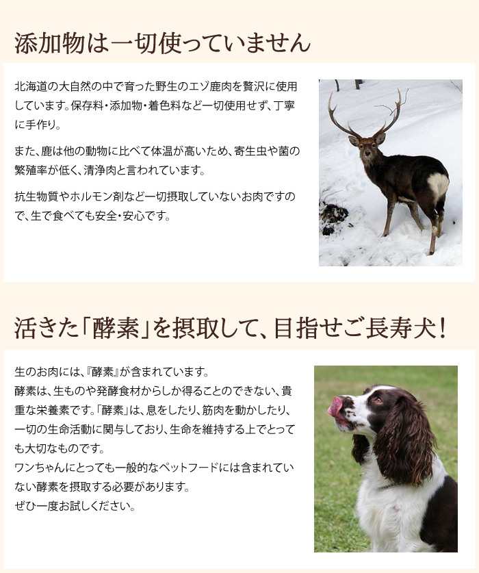 超格安価格 北海道産 天然エゾ鹿肉 赤身切り落とし 500g 100g×5 犬猫用※常温品同梱不可 newschoolhistories.org