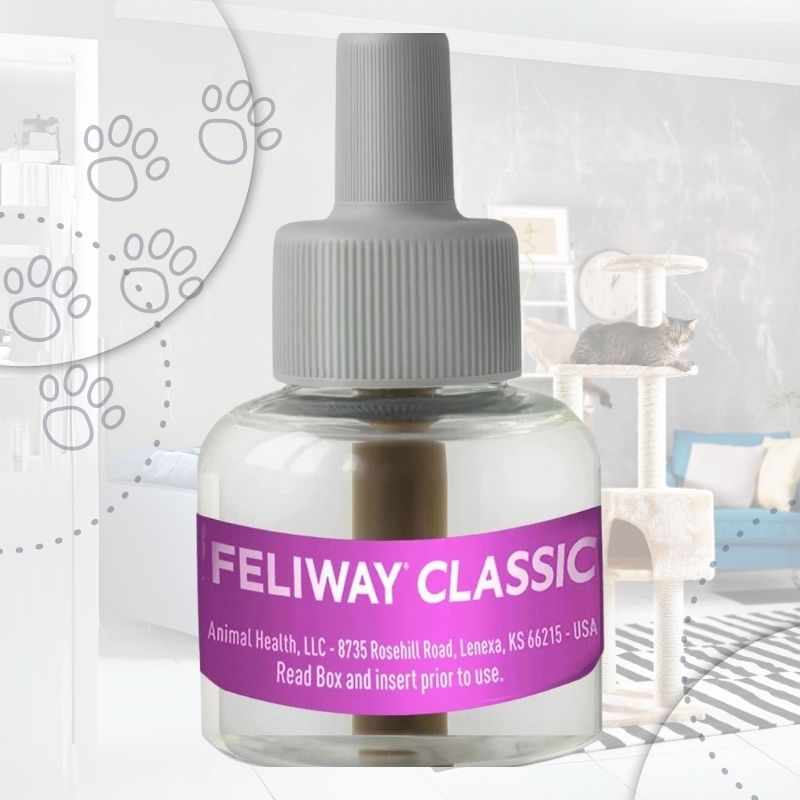 【楽天市場】FELIWAY フェリウェイ リキッド 48ml 猫用 フェロモン 交換用 交換 ボトル 1個 輸入品：Allife楽天市場店