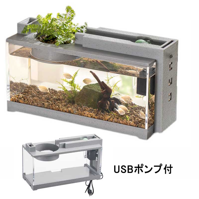 小型 アクアリウム  メダカ　飼育 フルセット　ライト　フィルター　イーロカ Amazon | N&S 小型水槽 プラスチック エアポンプ付き メダカ飼育