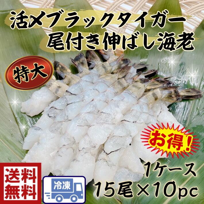 定番スタイル エビフライ 天丼 串揚げ エビの天ぷら たっぷり150匹送料無料新鮮 特大活〆ブラックタイガー 尾付伸ばし海 13 1515尾入×10P えび  エビ 海老海老天 えび天 のばし海老 のばしえび 伸ばしエビ 安い プリプリ 処理済み お得 fucoa.cl