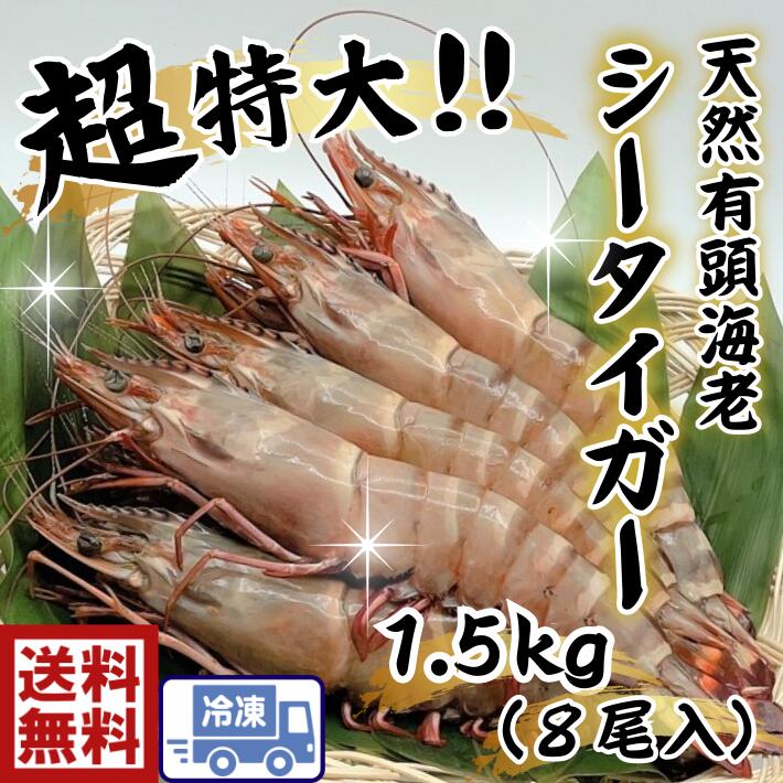 倉庫 送料無料 ｓ1超特大 天然有頭海老シータイガー 8尾入り超特大 特大 大 大きい 海老 えび エビ BBQ 屋台 文化祭 お祭り 塩焼き 煮  お正月 バーベキュー fucoa.cl